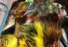 Salomone: Short and sweet information about streamer fishing
