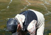 Salomone: Here’s why you’d want a specialty fly rod