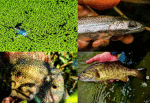 Photos: Week One of This Year’s “20 September Days” Contest