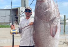 Louisiana Outdoor Writers Association keeps records for top fish