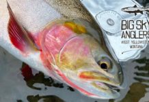 Big Sky Anglers Fishing Report 9.30.21