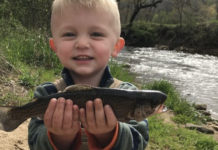 Asheville Parks & Recreation offer up several family-friendly fall activities