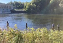 Push on to legalize snagging salmon