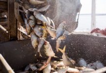 Maine Voices: New bill addresses anglers’ needs in response to climate impacts