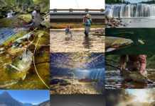 Vote for the Winners in Our 2021 “20 Days in September” Contest—and Maybe Win Something for Yourself!