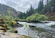 Travel Guide: Exploring The Natural Wilderness Of Oregon’s South & Coast
