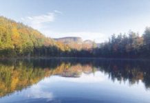 North Country Angling: Reflection | Fishing