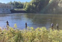 Push on to legalize snagging salmon |