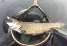 North Country Angling: It’s time for a fall trout season | Fishing