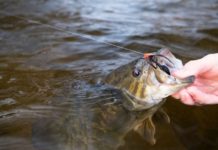 New Flies of 2021: Fly Fishing Gear