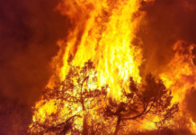 Businesses Continue To Be Impacted By Cameron Peak Fire More Than A Year Later – CBS Denver