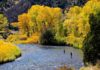 Fishing Guide Tips: The Best Fall Trout Flies