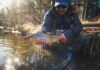 Fly Fishing: How to Catch More Trout in the Fall