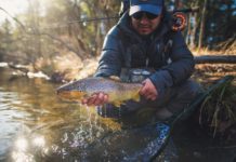 Fly Fishing: How to Catch More Trout in the Fall
