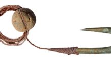 Humans in Israel used modern fishing tools 12,000 years ago