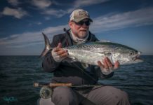 Reel Time: Little tunny time?