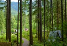 10 of the best places in Oregon for a socially distanced vacation