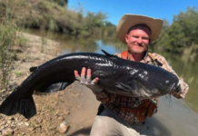 Fly fish angler reels in potential world-record blue catfish in Texas river