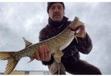 Union Canal revealed as high-quality pike and predator fishing hotspot, and tips for success