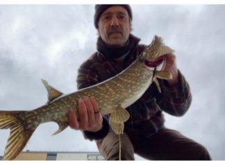 Union Canal revealed as high-quality pike and predator fishing hotspot, and tips for success