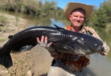 Fly angler lands potential world-record blue catfish