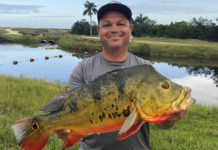 Florida Peacock Bass Record Falls After Nearly 30 Years!