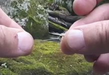 Video Pro Tip: An Easy Trick to Tie on a Dropper Fly