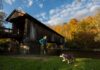 Where to see 9 historic covered bridges in Ulster, Orange Counties