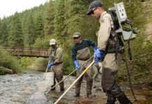 Montana fishing advocates, businesses call for river preservation task force