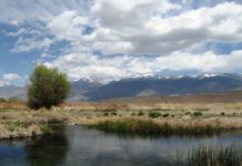 Fred Rowe’s Fly Fish Report 10-15-21