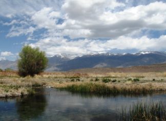 Fred Rowe’s Fly Fish Report 10-15-21