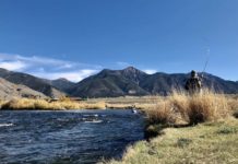 Join and learn with the Fly Fishers International Virtual Conclave – Explore Big Sky