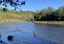 Salmon run in northern Michigan highlights differing views on snagging