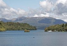 Eastern Region Trout Fishing in New Zealand’s North Island