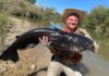Texas fly fisherman catches potential world-record blue catfish