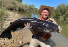 Texas fly fisherman catches potential world-record blue catfish