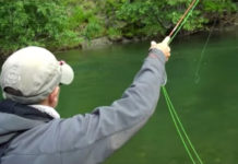 Video Pro Tips: How to Fish a Streamer on a Floating Line