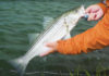 Video: How to Catch Striped Bass on the Fly