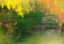 Wednesday Wake-Up Call 10.13.21 – Orvis News