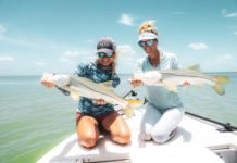 3 Fish You Must Catch in the Everglades