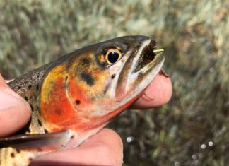Salomone: October is the end of the high country season