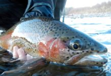 On the Fly column: Changes are afoot