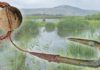 Archaeology breakthrough after discovery of ancient human fishing rod: ‘Amazing’ | Science | News