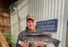 A lot to be thankful for in Delaware