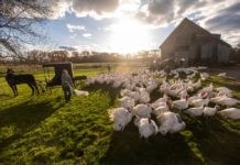 Week In Photos Nov. 19-26, 2021