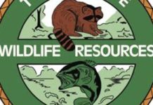 Muzzleloader season for deer set to open | Sports