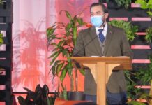 Culpeper-area community briefs for Nov. 11, 2021 | Latest News