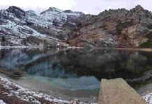 Joe’s Fishing Hole: How do fish survive the winter? | Outdoors