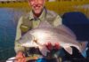 Today’s Sportsman: Fishing the salt (water, that is) | Travel And Outdoors