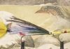 North Country Angling: The flies of Warden Joe Stickney | Fishing